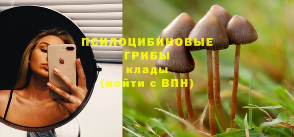соль курить ск Михайловск