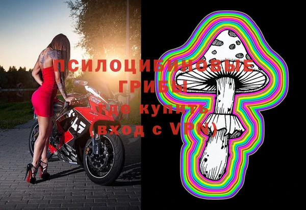 мяу мяу мука Михайлов