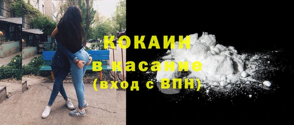 мяу мяу мука Михайлов