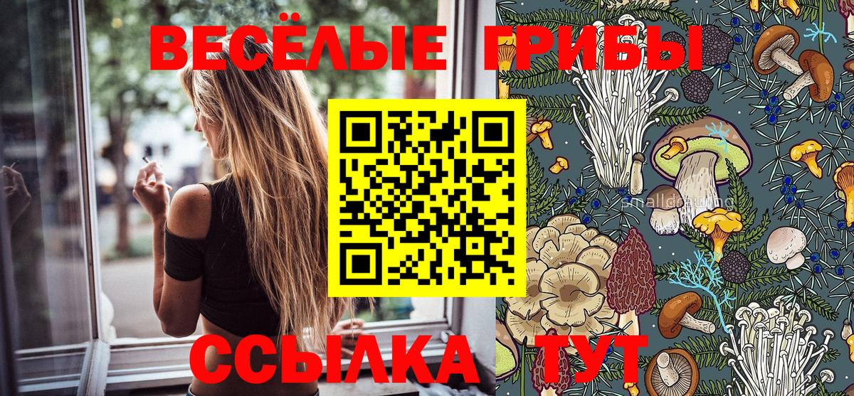 Псилоцибиновые грибы GOLDEN TEACHER  Вход с VPN  Псилоцибиновые грибы ЛСД  Стерлитамак 