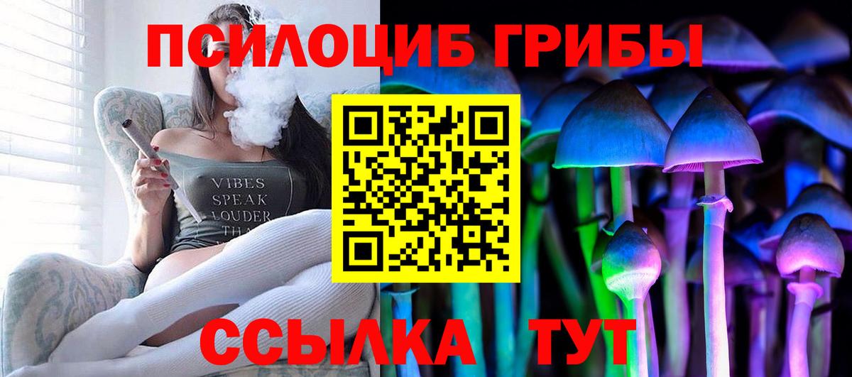 Псилоцибиновые грибы мухоморы  наркошоп  Стерлитамак 